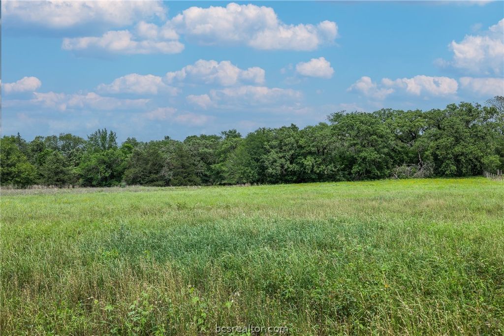 1572 St Hwy 36 N, Caldwell, TX 77836 — photo 4