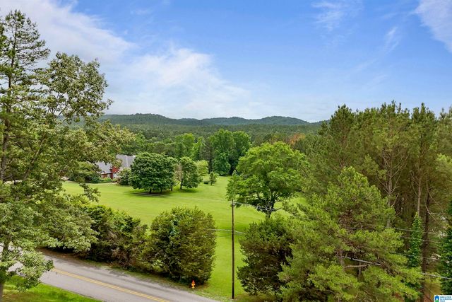 155 OAK GROVE ROAD, Springville, AL 35146