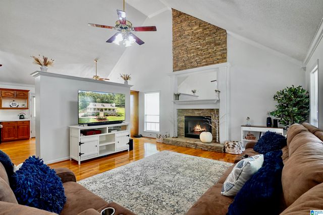 155 OAK GROVE ROAD, Springville, AL 35146