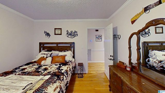 155 OAK GROVE ROAD, Springville, AL 35146