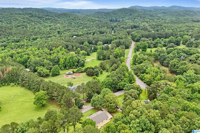 155 OAK GROVE ROAD, Springville, AL 35146