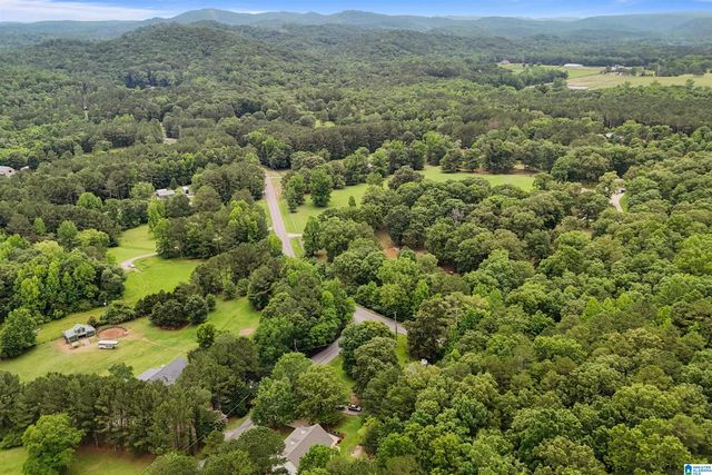 155 OAK GROVE ROAD, Springville, AL 35146