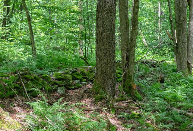 305 Poker Hill Road, Underhill, VT 05489