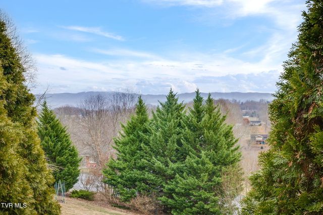 355 Huckleberry Road, Bluff City, TN 37618