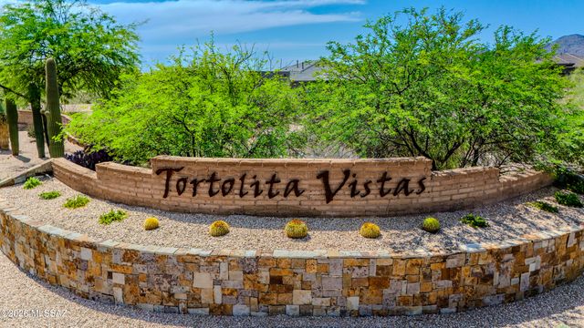 12420 N Carpas Wash Drive, Marana, AZ 85658