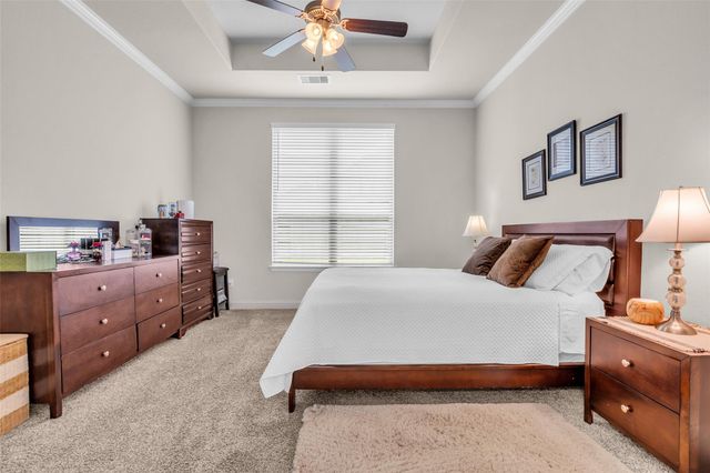 10082 Black Maple Drive, Conroe, TX 77385