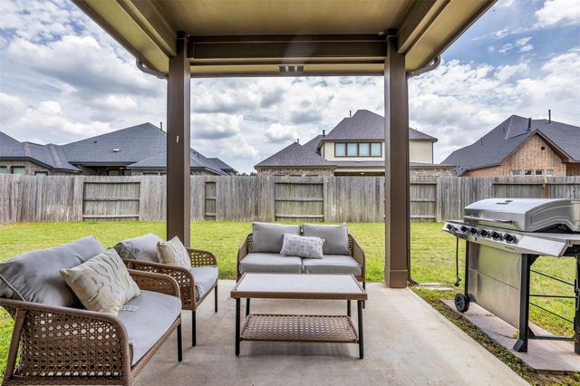 10082 Black Maple Drive, Conroe, TX 77385