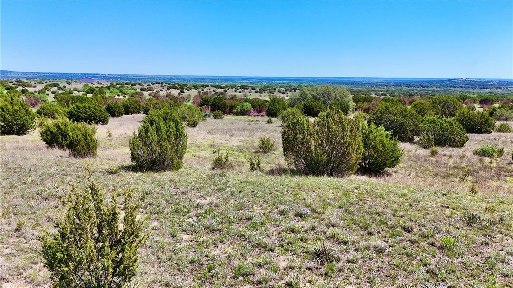 TBD E FM 581, Lometa, TX 76853