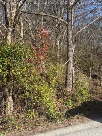 0 Kay Neva Lane, Charleston, WV 25312