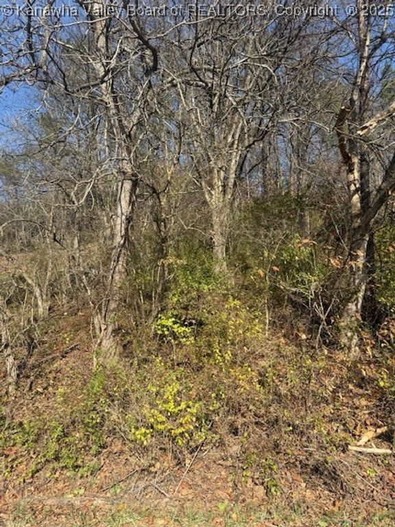 0 Kay Neva Lane, Charleston, WV 25312