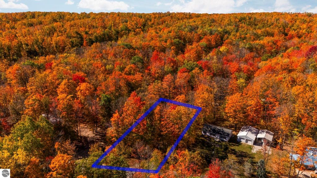 Aerial view of a vibrant autumn landscape showcasing colorful trees in shades of red, orange, and yellow, with a highlighted property outline in blue, featuring a home and surrounding nature near Blue Lake Heights in Kalkaska, MI.