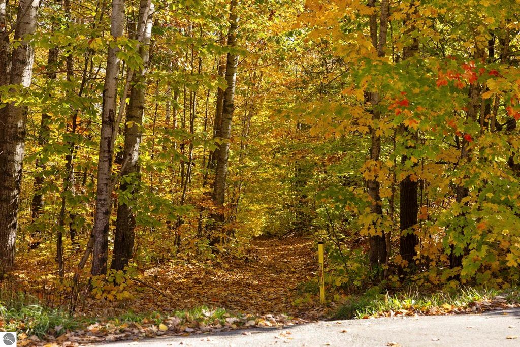 Colorful autumn foliage along a tree-lined path leading into the woods near 7149 W Blue Lake Road, showcasing the natural beauty of the Blue Lake Heights community in Kalkaska, MI.