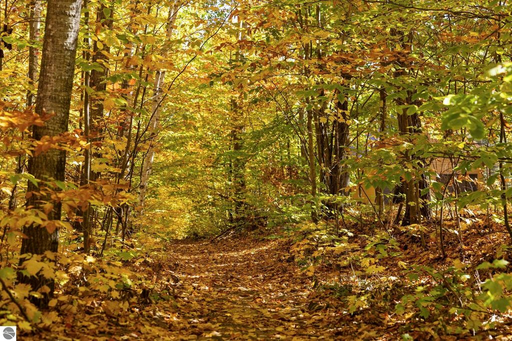 Autumn pathway through colorful foliage in a wooded area near Blue Lake Heights, Kalkaska, MI, showcasing natural beauty and outdoor recreational opportunities.
