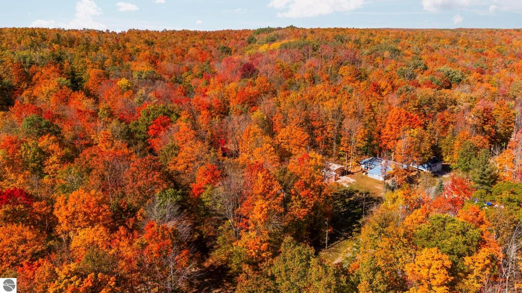 Aerial view of vibrant autumn foliage in Kalkaska, Michigan, showcasing a mix of red, orange, and yellow trees surrounding a residential property, highlighting the natural beauty and serene environment of Blue Lake Heights community.