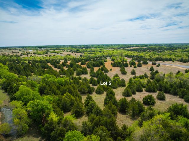 Lot 5 PR 291, Dodd City, TX 75438