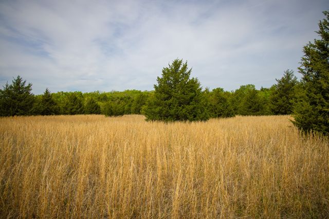 Lot 5 PR 291, Dodd City, TX 75438