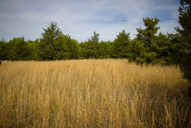 Lot 5 PR 291, Dodd City, TX 75438