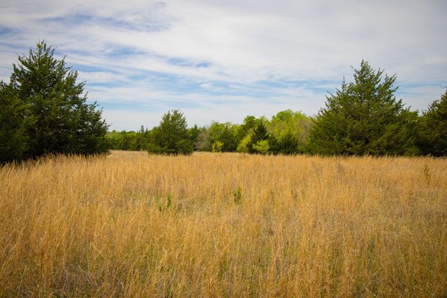 Lot 5 PR 291, Dodd City, TX 75438