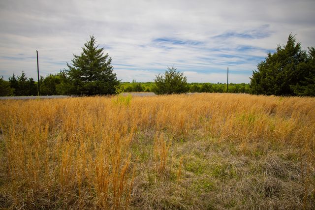 Lot 5 PR 291, Dodd City, TX 75438