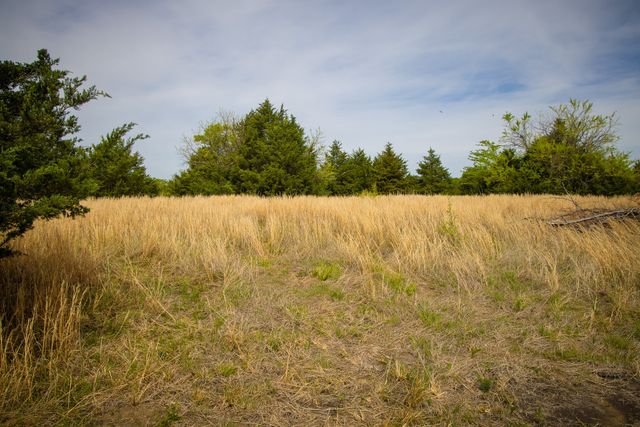 Lot 5 PR 291, Dodd City, TX 75438