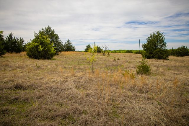 Lot 5 PR 291, Dodd City, TX 75438