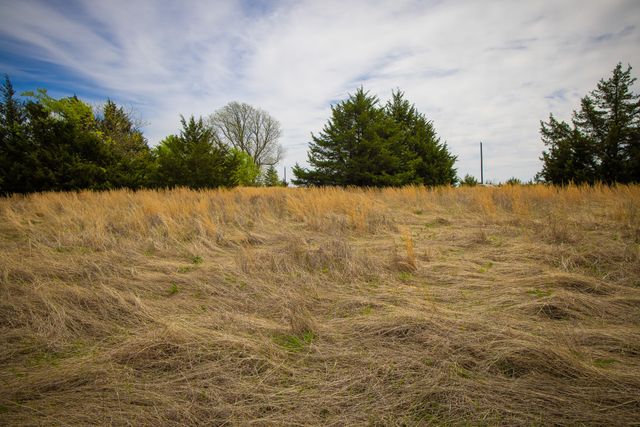 Lot 5 PR 291, Dodd City, TX 75438
