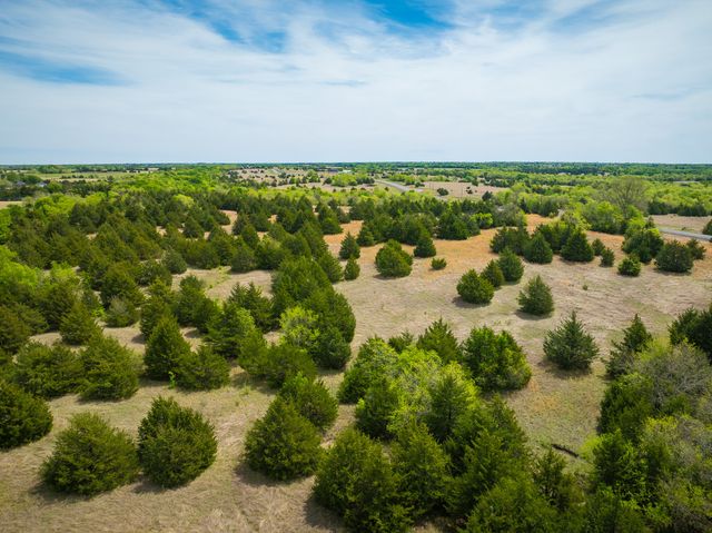 Lot 5 PR 291, Dodd City, TX 75438
