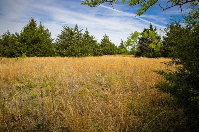 Lot 5 PR 291, Dodd City, TX 75438