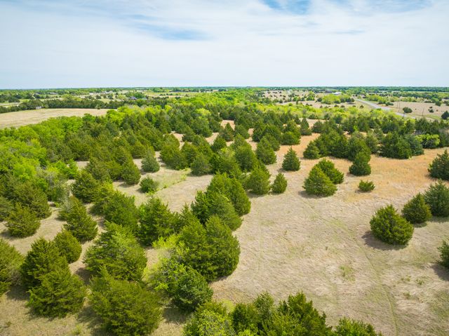 Lot 5 PR 291, Dodd City, TX 75438