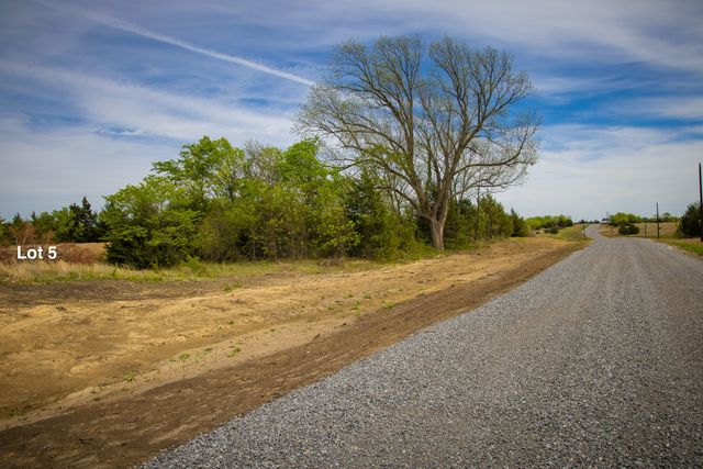 Lot 5 PR 291, Dodd City, TX 75438