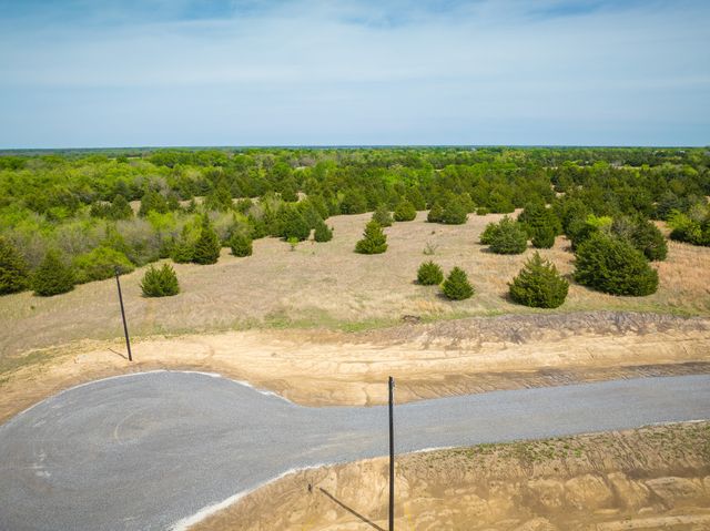 Lot 5 PR 291, Dodd City, TX 75438