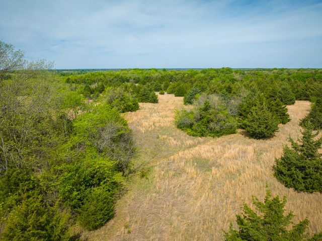 Lot 5 PR 291, Dodd City, TX 75438