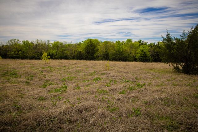 Lot 5 PR 291, Dodd City, TX 75438