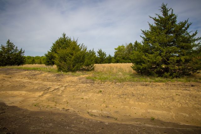 Lot 5 PR 291, Dodd City, TX 75438