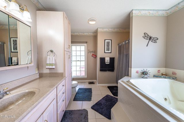 512 Wood View Court, Kingsport, TN 37664