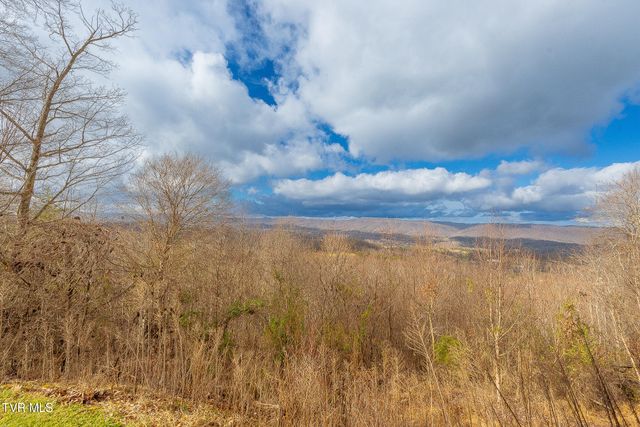 512 Wood View Court, Kingsport, TN 37664