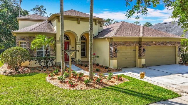 3620 CORDGRASS DRIVE, Valrico, FL 33596