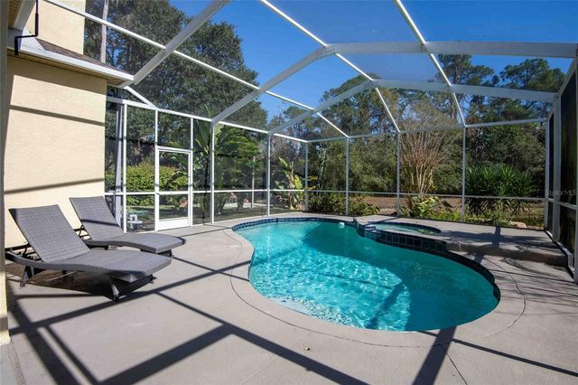 3620 CORDGRASS DRIVE, Valrico, FL 33596