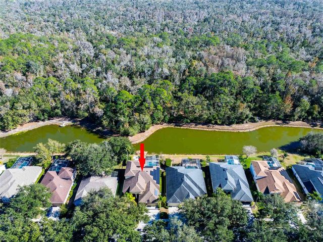 3620 CORDGRASS DRIVE, Valrico, FL 33596