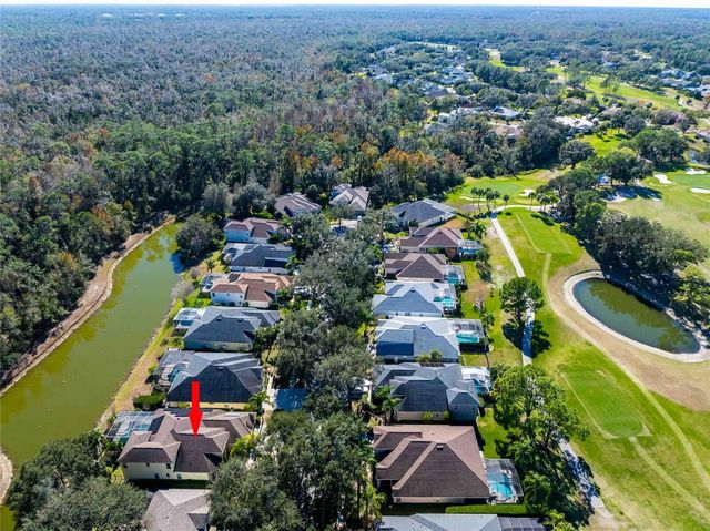 3620 CORDGRASS DRIVE, Valrico, FL 33596