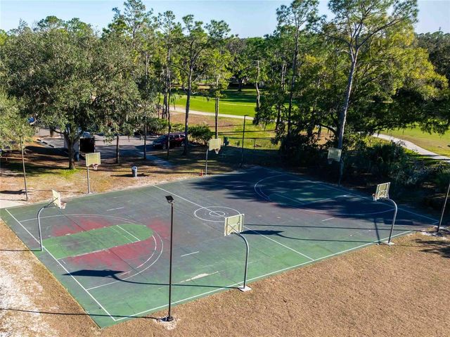 3620 CORDGRASS DRIVE, Valrico, FL 33596