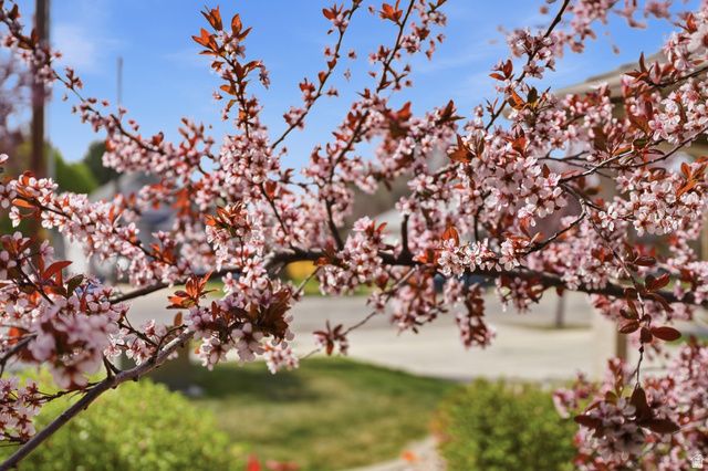 1068 E 16TH ST, Ogden, UT 84404