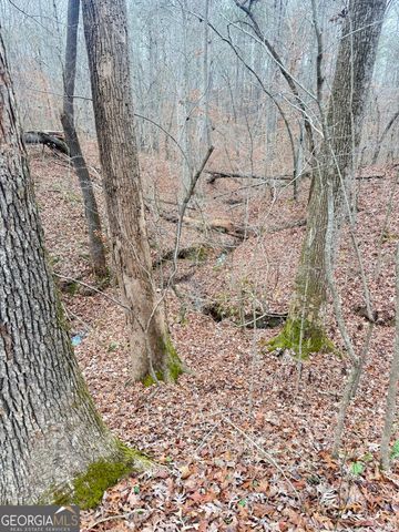 0 Pine Grove Road, Tallapoosa, GA 30176