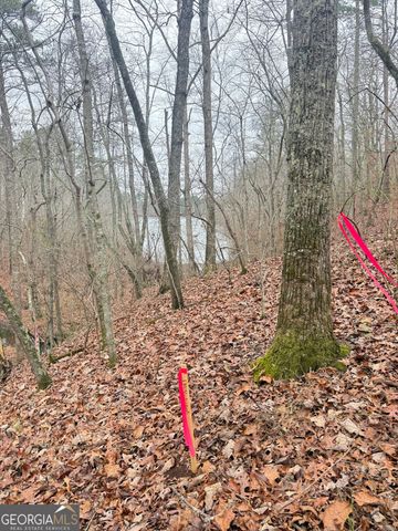 0 Pine Grove Road, Tallapoosa, GA 30176