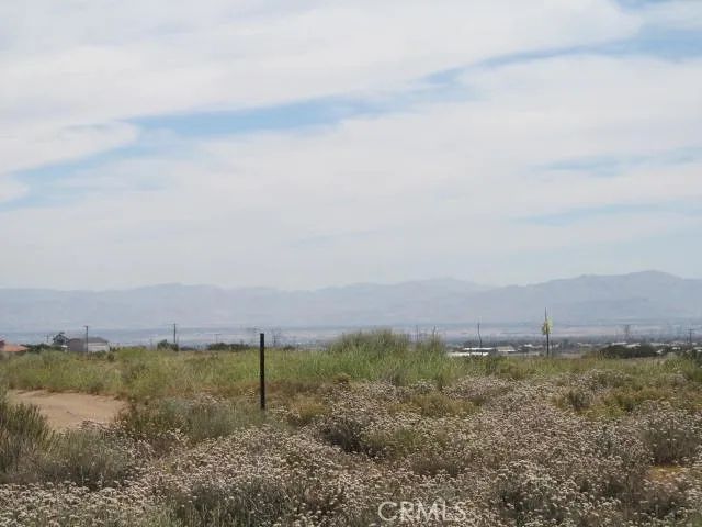 28 Fremontia, Oak Hills, CA 92344