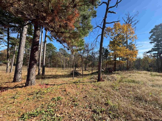 12463 Plum Dr., Lindale, TX 75771