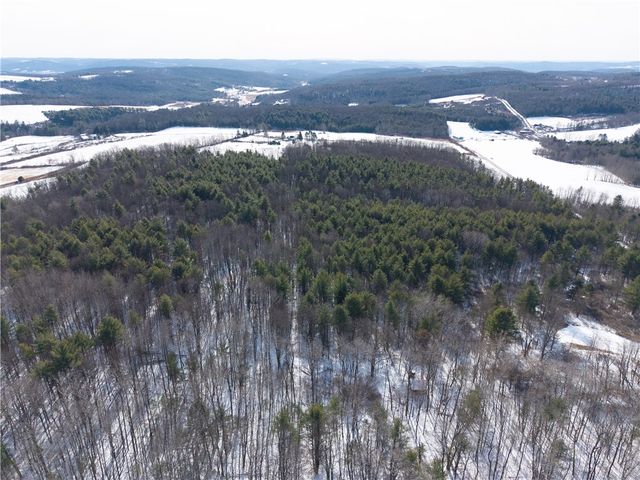 356 Acme Road, Barton, NY 14892