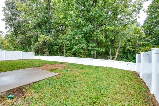 227 Addison Ave, Chapel Hill, TN 37034