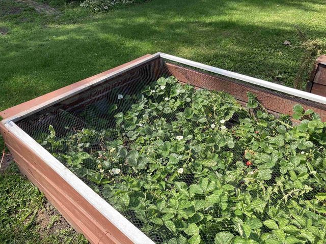 435 S Main Street, Fall River, WI 53932