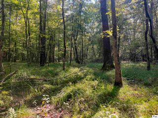 0 HIGHWAY 33, Choudrant, LA 71227